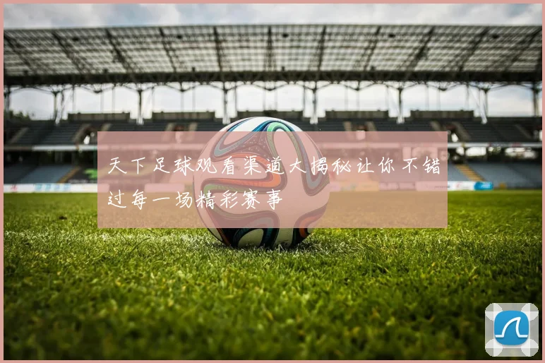 天下足球观看渠道大揭秘让你不错过每一场精彩赛事