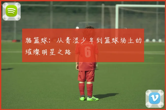 骆篮球：从青涩少年到篮球场上的璀璨明星之路